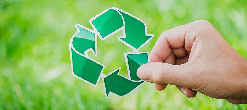 vignette-environnement